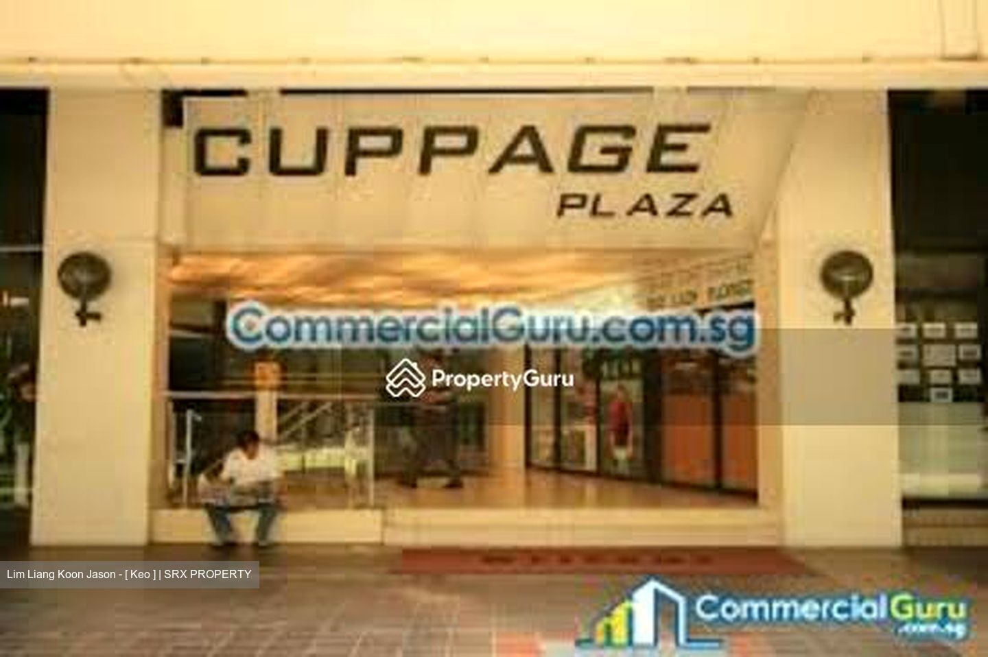 Cuppage Plaza (D9), Shop House #419263511